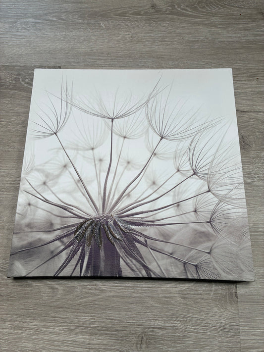 Dandelion Canvas Print